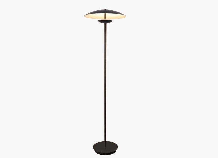 Modern floor lamp with a circular flat shade and slender black stand.